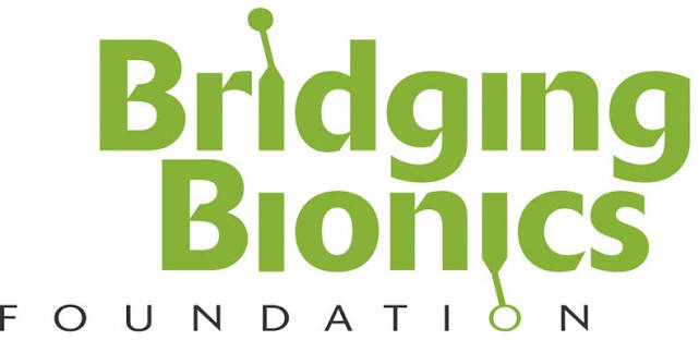 Bridging Bionics