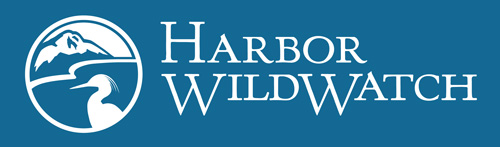 Harbor Wild Watch